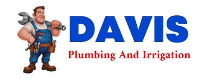 Trusted plumber in ERWINVILLE